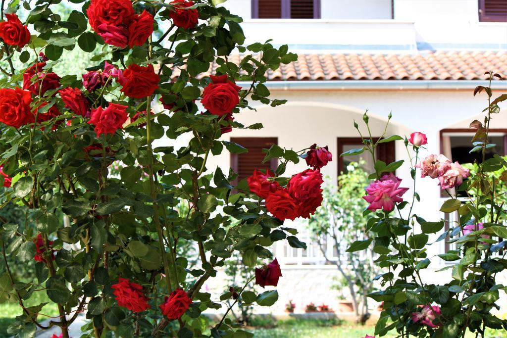 Holiday Home Magnolia Tar-Vabriga 外观 照片